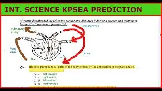 КОМПЛЕКСНЫЙ ПЕРЕСМОТР НАУЧНЫХ МАТЕРИАЛОВ ПРОГНОЗИРОВАНИЕ KPSEA 6 КЛАСС