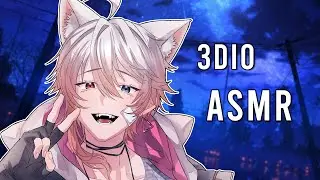 [3DIO] [ASMR] Soft Wolfboy Boyfriend wants you to have an amazing night~