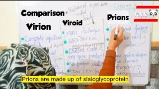 Difference between Virion,Viroid and prions|Comparison|BSc first year.#microbiology