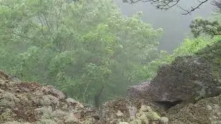 AT - Neat Things 