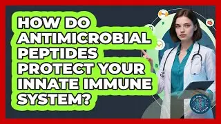 How Do Antimicrobial Peptides Protect Your Innate Immune System? - All About the Immune System