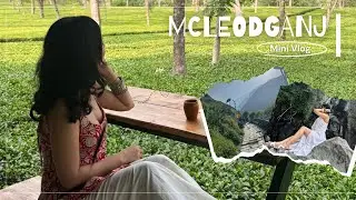 McLeodganj Mini Vlog 🏔️| Bhagsu Nag Waterfall & Palampur Tea Gardens 🌿