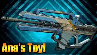 ANA'S TOY AUTO IS PRETTY DECENT! | Destiny 2 Braytech Winter Wolf