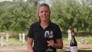 Bellevue Cinsault - Tasting