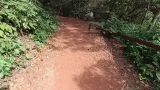 Matheran part22 hill🗻 station🚏 returning from Lords View point #matheran #hillstation #jungle