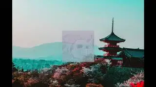 🏯 KYOTO 🏯 ||| STEELO F BEATS 2018 |||