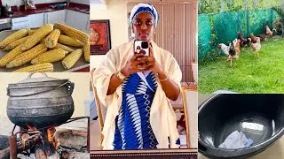 Village diaries South African YouTuber 