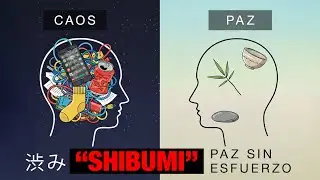 🧘 Descubre el secreto japon&eacute;s para un hogar TRANQUILO