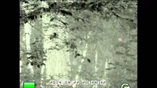 Thermal Imaging search for nesting birds using the Night Optics Explorer