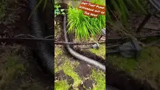 Extending a Sump Pump Discharge! #sumppump #discharge #waterproofing #homeimprovement #basement #diy