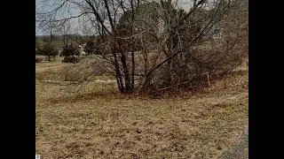 11772 Roen Drive, Empire, MI 49630 - Land - Real Estate - For Sale