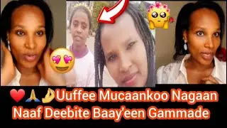 Har'a Baay'een Gammadde Meetiikoo Of Biratti Deeffadheeran Jiraa Wajjiin Wal Hiikuun Murtaa'eraa