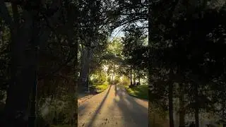 &uacute;ltimos dias de ver&atilde;o no interior da Fran&ccedil;a | Vichy, setembro de 2025. #vidanafran&ccedil;a #frenchcore ✨🍦