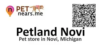 Petland Novi &ndash; Pet store in Novi, Michigan