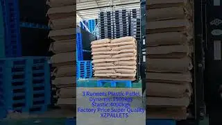 XZPALLETS-plastic pallet manufacturer in China