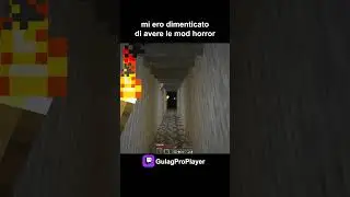 POV: ti sei dimenticato le mod horror #minecraft