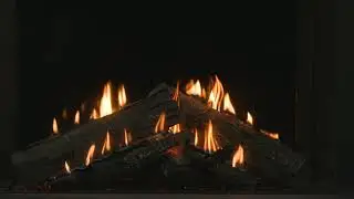 Barbas brander: Premium Fire 2 (propaan)