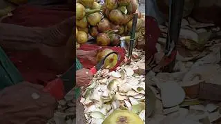 Amazing Palm Fruit Cutting Skills #shorts