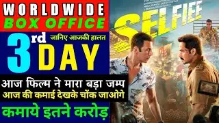 Selfiee Box Office Collection Day 2, Selfie Movie Worldwide Collection, Selfie Movie Review, Akshay