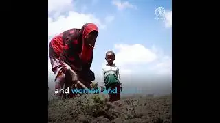 Rehabilitating irrigation canals in Somalia changes the lives of drought affected farmers