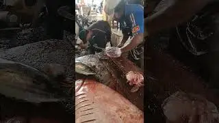 Mesmerizing Parrot Fish Filleting - Artistic and Stunning Fish Cutting #Shorts