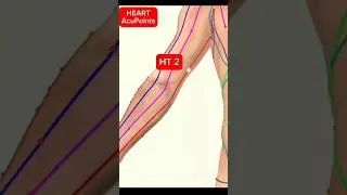 HT2 (Heart 2): Calms the mind, reduces anxiety, and relaxes the heart.❤️ #acupressure #stressrelief