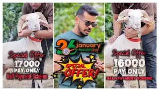 Special Offer for 26th January Half payment Scheme STAR GOATS FARM Asif STD 88798 09944 Mumbra 