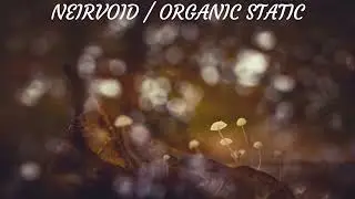 Neirvoid - Organic Static