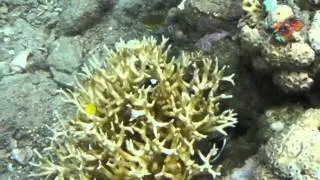 Kakeroma island