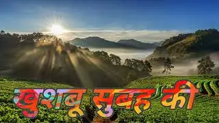 248 The Fragrance of the Morning