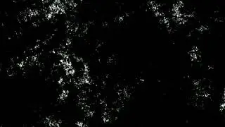 Walca - Nova (Official Music Video)