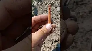 THE THINGS YOU FIND IN A CORNFIELD!!! #shorts #metaldetecting #viral