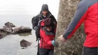 Queen's marine biologists teaching in Plymouth