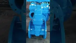 Dn250 ductile iron gate valves #gatevalve #industrialvalves