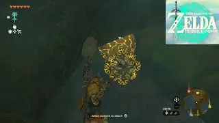 Zelda: Tears of the Kingdom [Switch 2] #089, Royal Hidden Passage, N: Horriblin Lair; Root Room