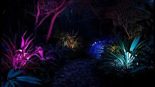 🎧 Música Relajante para Estudiar, Concentrarse y Relajarse | LoFi, Chill, Instrumental 🎶