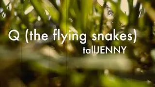 Q (the flying snakes)