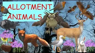 ALLOTMENT ANIMALS