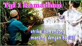 PUASA 1 HARI,dapat babon ikan andong,mancing dengan bocil#strikebabon#microfishing