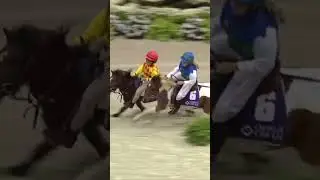 Pony racing! #cute #pony #equestrian #racing