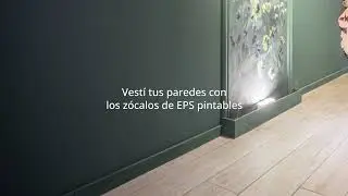 Z&oacute;calos Pintables de EPS