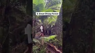 10 locations to add to your Australia bucket list! How many have you visited?
