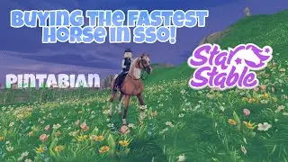 Buying the FASTEST Horse in SSO | Star Stable Online
