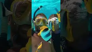 Cuteness overload&hellip; #shorts #underwaterworld #fish #diving #coralgarden #frenchpolynesia #sailing