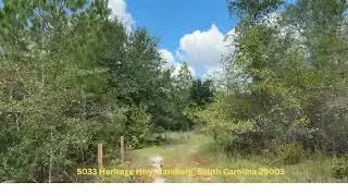 Discover 56.38 acres of vacant land for sale in Bamberg, South Carolina!