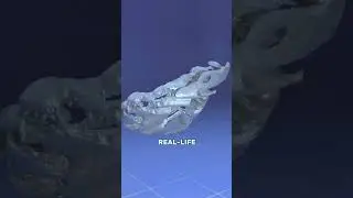 If you fire a bullet at the crocodile #science #3d #viralvideo #shorts Instagramreel
