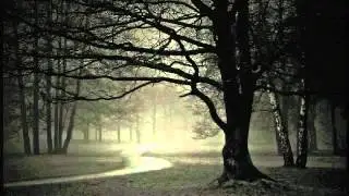 FER - DESASTRE