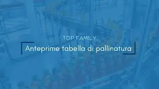 TOP Family Release 25 | Pallinatura