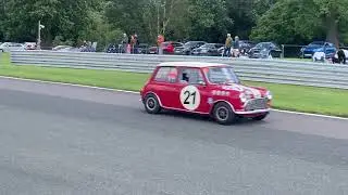 HRDC OULTON PARK JUNE 2023 JACK SEARS RACE, LOTUS CORTINA, MUSTANG, AUSTIN A40 ETC.