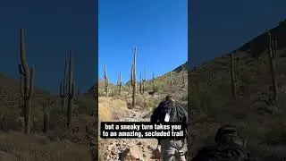 Scottsdale&rsquo;s McDowell Sonoran Preserve has some great desert hiking! Have you been to Bell Pass?